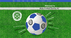 Desktop Screenshot of haleunited.com
